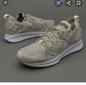 Women's Puma ignite evoknit sneakers!